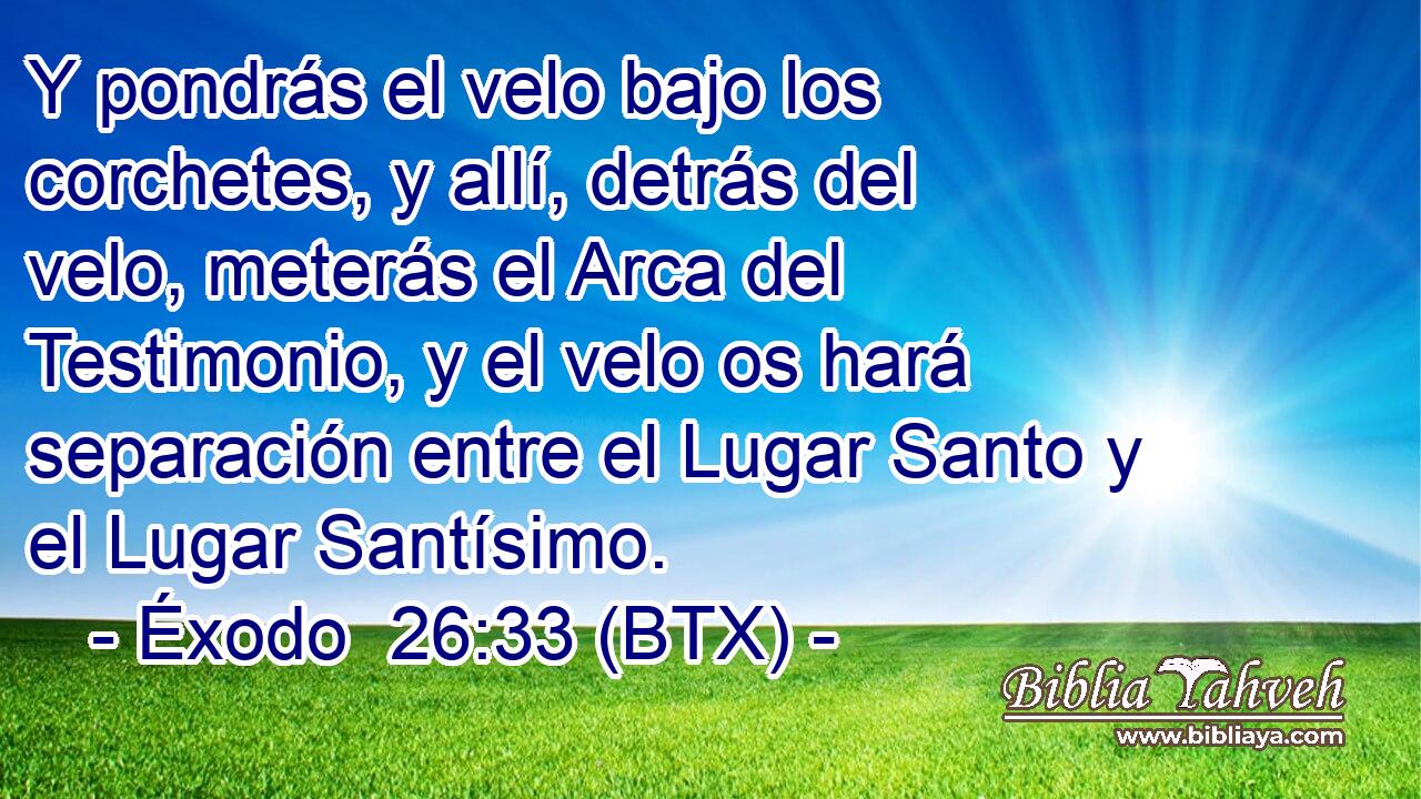 Y pondrás el velo bajo los corchetes, y allí, detrás del velo, meterás el Arca del Testimonio, y el velo os hará separación entre el Lugar Santo y el Lugar Santísimo.