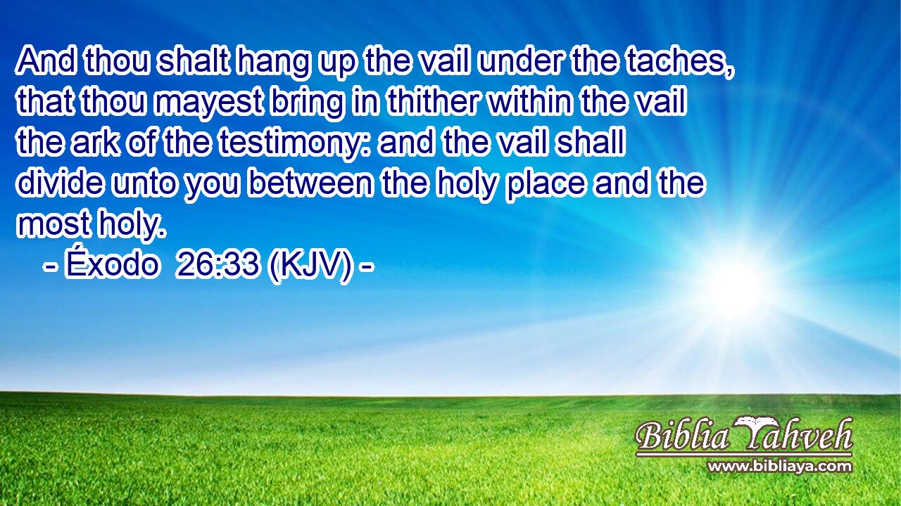 And thou shalt hang up the vail under the taches, that thou mayest bring in thither within the vail the ark of the testimony: and the vail shall divide unto you between the holy place and the most holy.