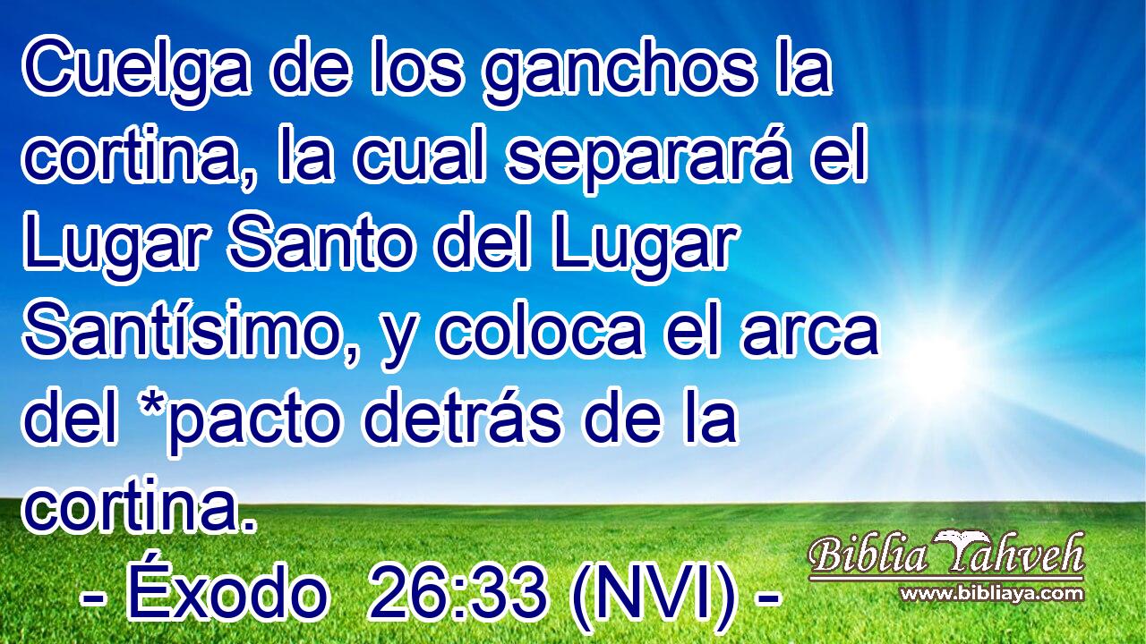  Cuelga de los ganchos la cortina, la cual separará el Lugar Santo del Lugar Santísimo, y coloca el arca del *pacto detrás de la cortina. 