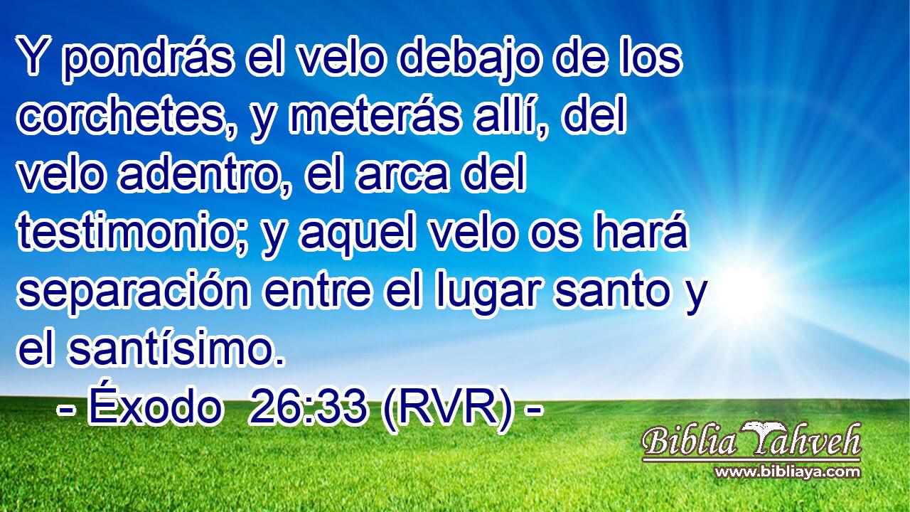 Y pondrás el velo debajo de los corchetes, y meterás allí, del velo adentro, el arca del testimonio; y aquel velo os hará separación entre el lugar santo y el santísimo.