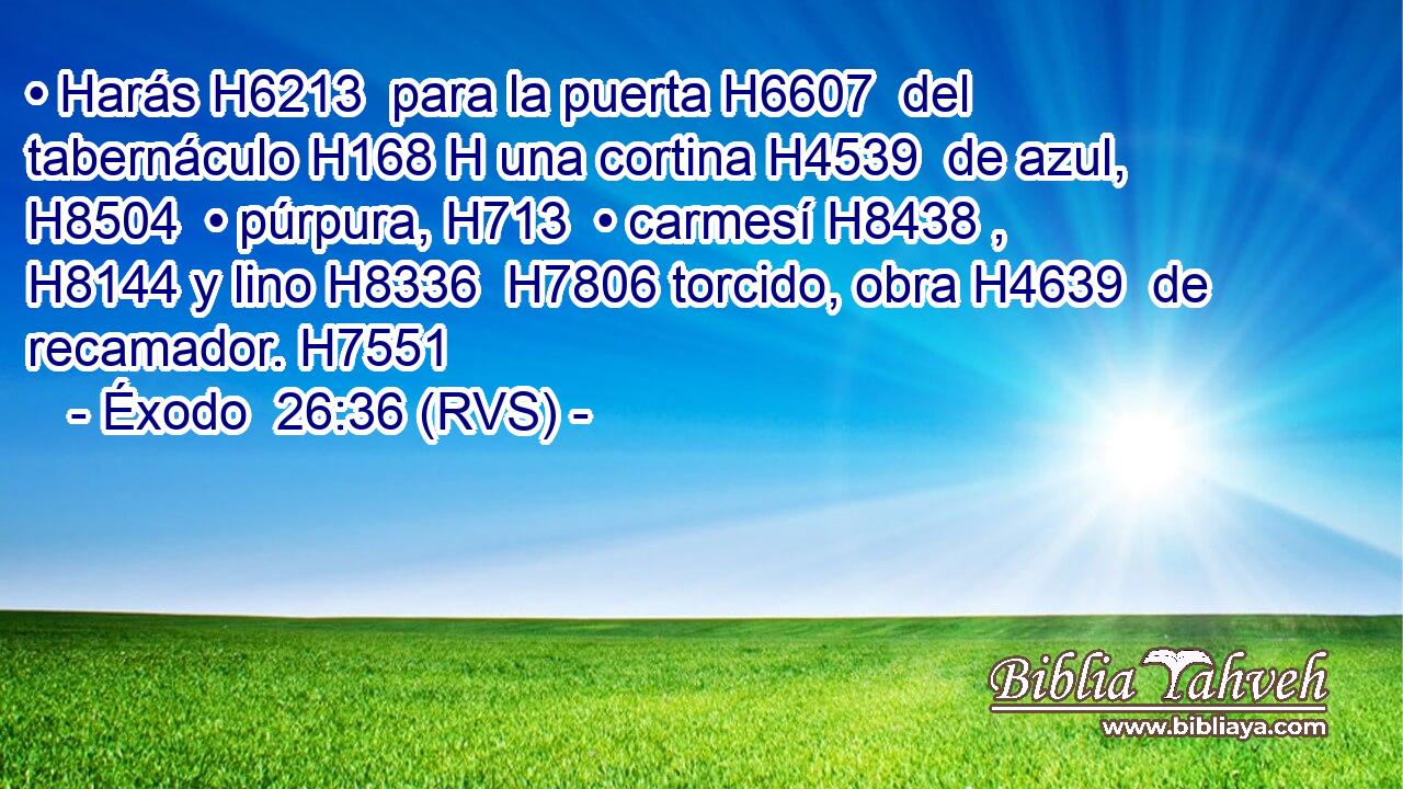 • Harás H6213  para la puerta H6607  del tabernáculo H168 H una cortina H4539  de azul, H8504  • púrpura, H713  • carmesí H8438 ,  H8144 y lino H8336  H7806 torcido, obra H4639  de recamador. H7551  