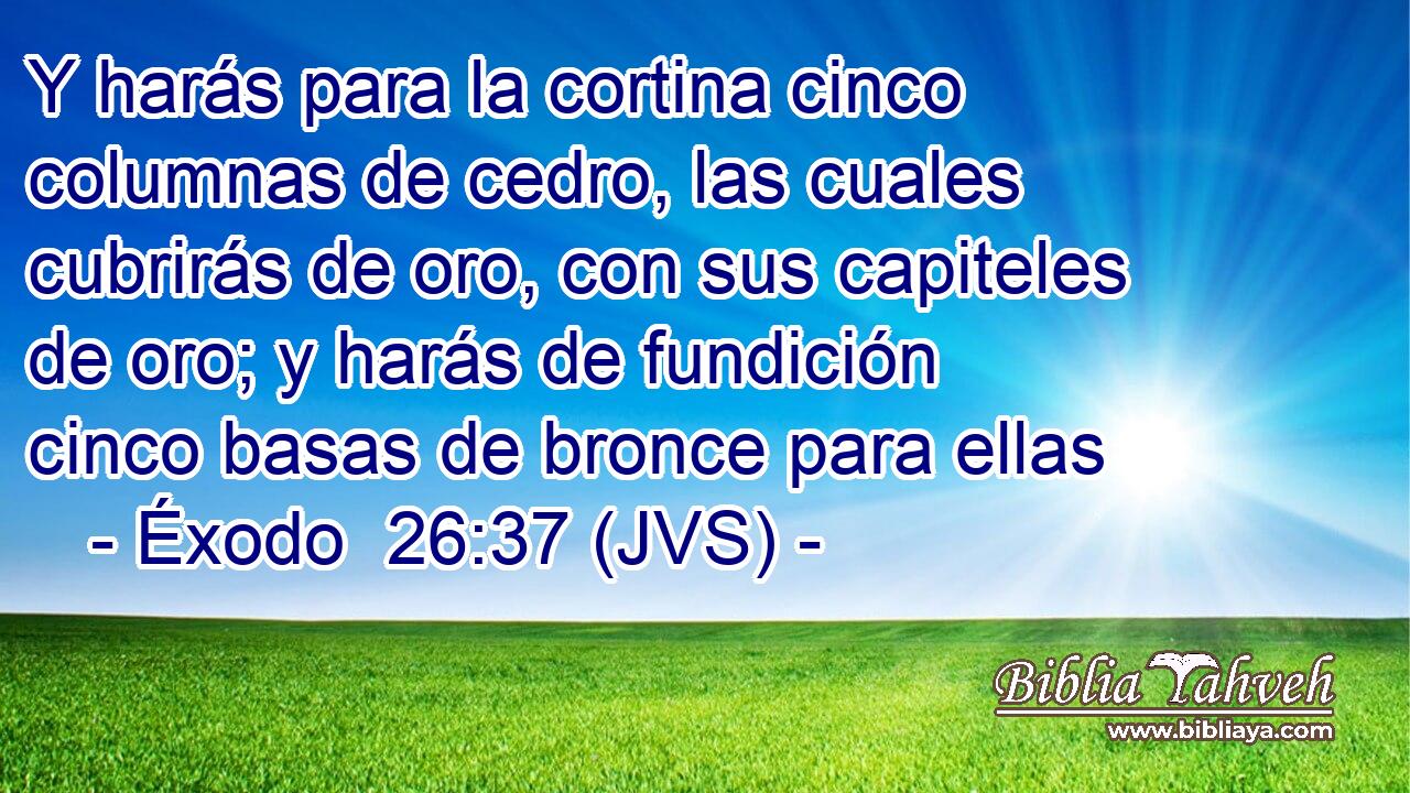 Y harás para la cortina cinco columnas de cedro, las cuales cubrirás de oro, con sus capiteles de oro; y harás de fundición cinco basas de bronce para ellas