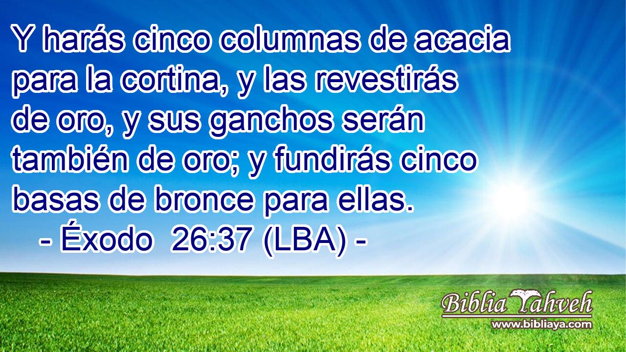 Y harás cinco columnas de acacia para la cortina, y las revestirás de oro, y sus ganchos serán también de oro; y fundirás cinco basas de bronce para ellas.
