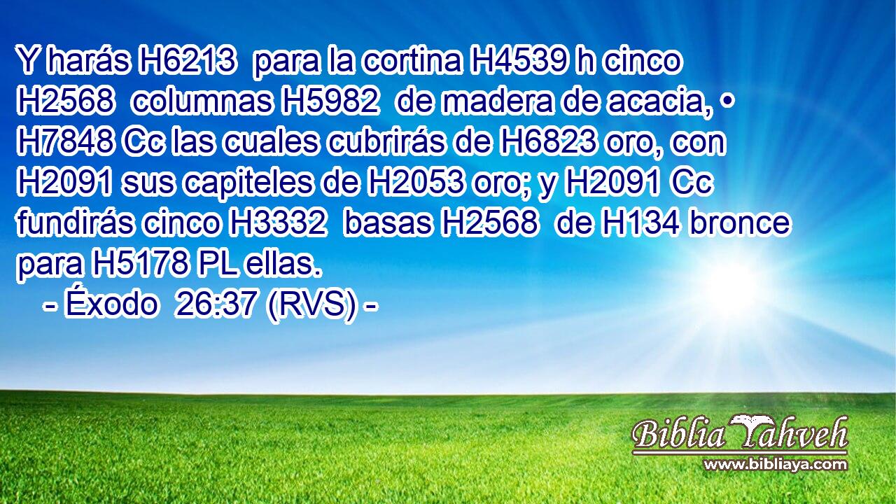 Y harás H6213  para la cortina H4539 h cinco H2568  columnas H5982  de madera de acacia, • H7848 Cc las cuales cubrirás de H6823 oro, con H2091 sus capiteles de H2053 oro; y H2091 Cc fundirás cinco H3332  basas H2568  de H134 bronce para H5178 PL ellas. 