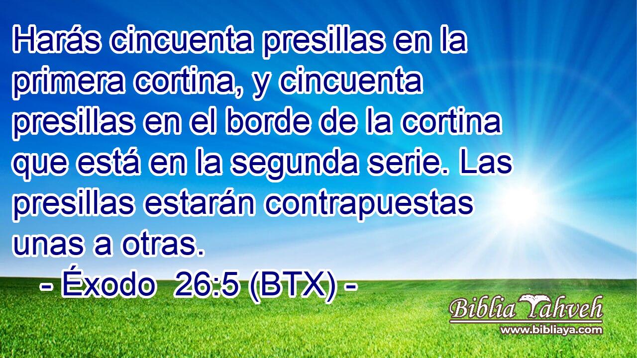 Harás cincuenta presillas en la primera cortina, y cincuenta presillas en el borde de la cortina que está en la segunda serie. Las presillas estarán contrapuestas unas a otras.
