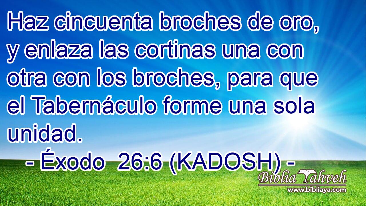  Haz cincuenta broches de oro, y enlaza las cortinas una con otra con los broches, para que el Tabernáculo forme una sola unidad. 