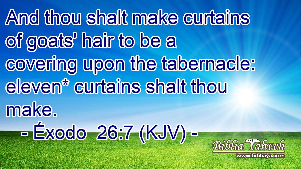 And thou shalt make curtains of goats' hair to be a covering upon the tabernacle: eleven* curtains shalt thou make.