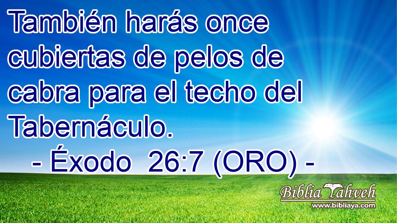  También harás once cubiertas de pelos de cabra para el techo del Tabernáculo. 
