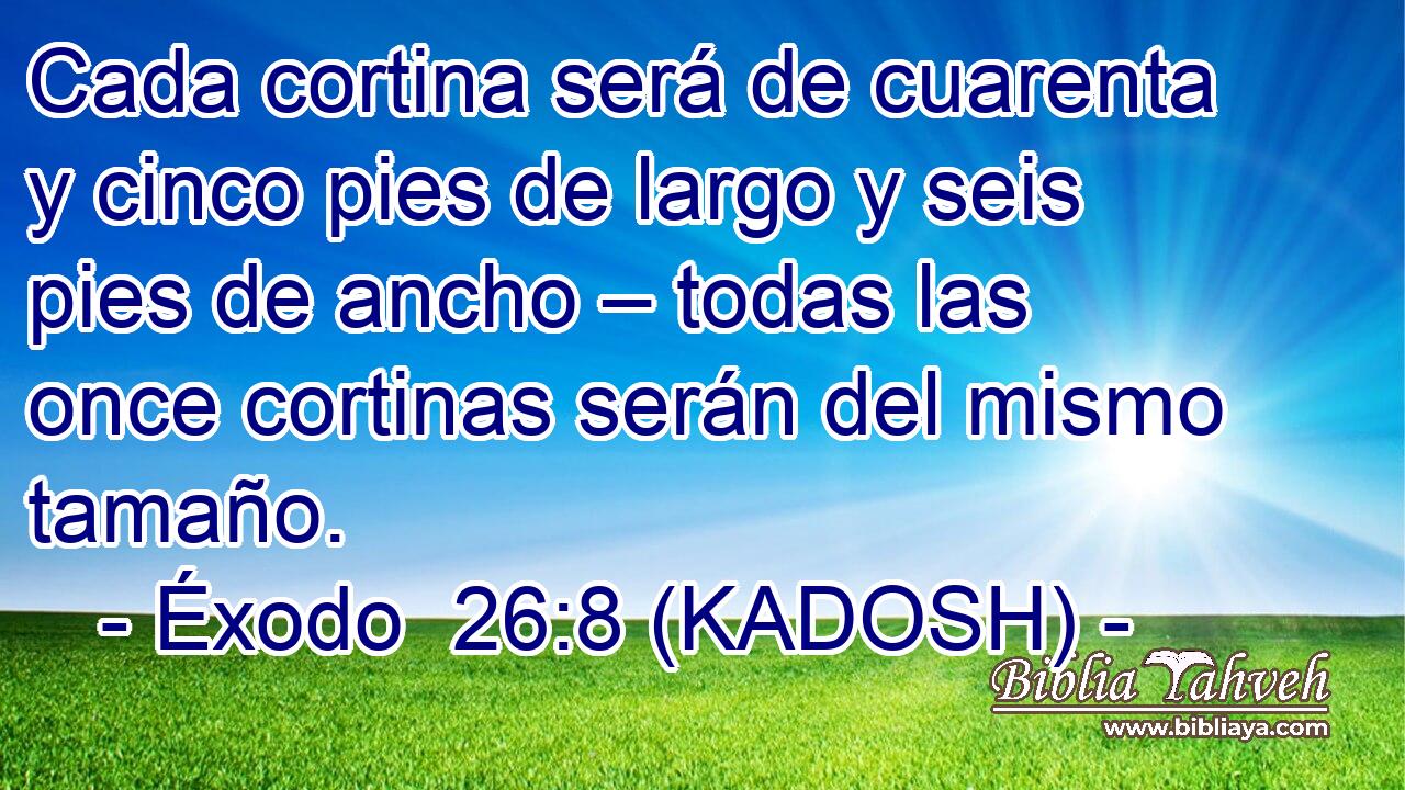  Cada cortina será de cuarenta y cinco pies de largo y seis pies de ancho – todas las once cortinas serán del mismo tamaño. 