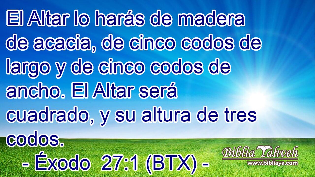 El Altar lo harás de madera de acacia, de cinco codos de largo y de cinco codos de ancho. El Altar será cuadrado, y su altura de tres codos.