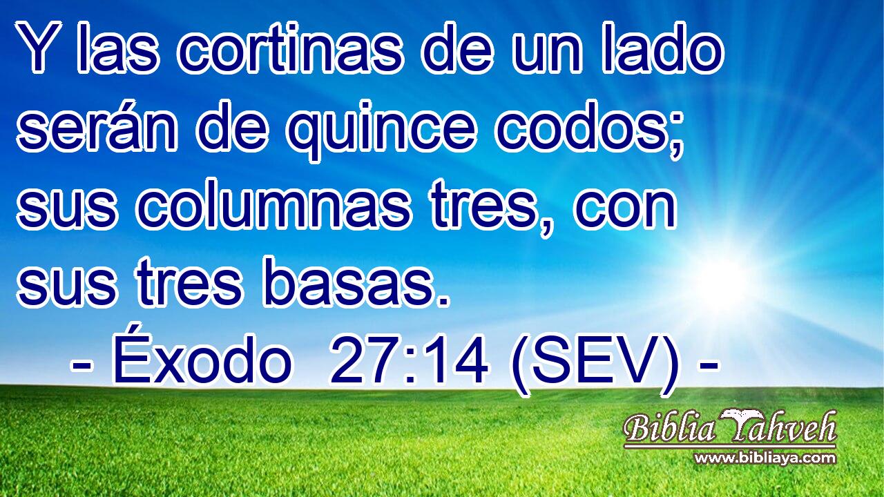 Y las cortinas de un lado serán de quince codos; sus columnas tres, con sus tres basas.