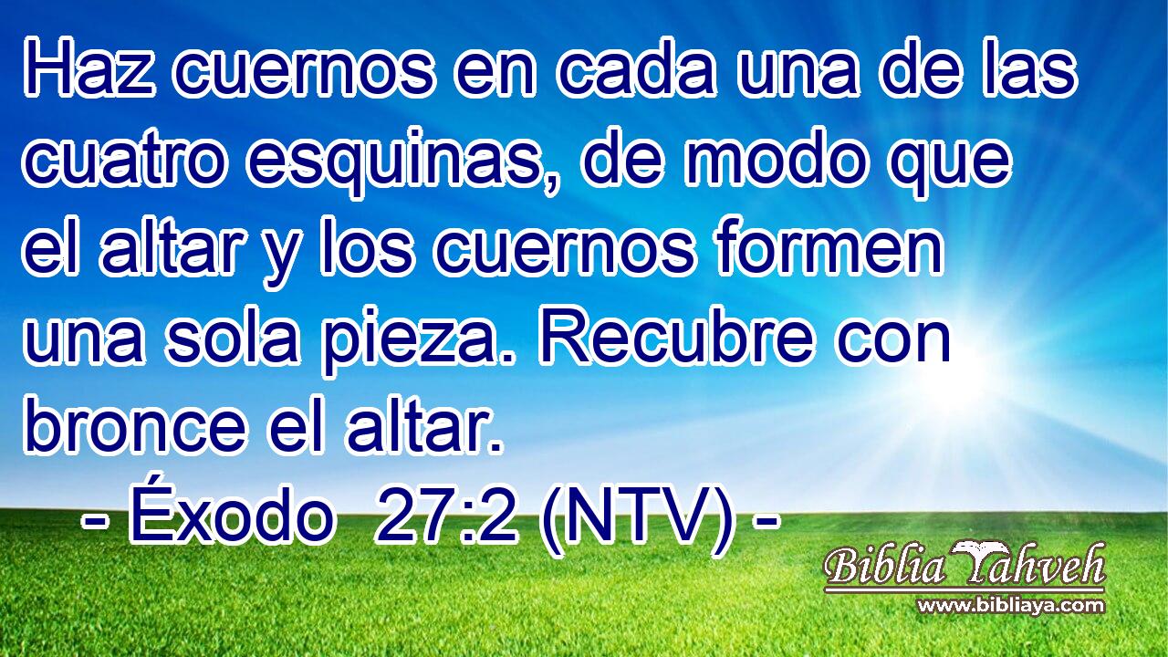 Haz cuernos en cada una de las cuatro esquinas, de modo que el altar y los cuernos formen una sola pieza. Recubre con bronce el altar.