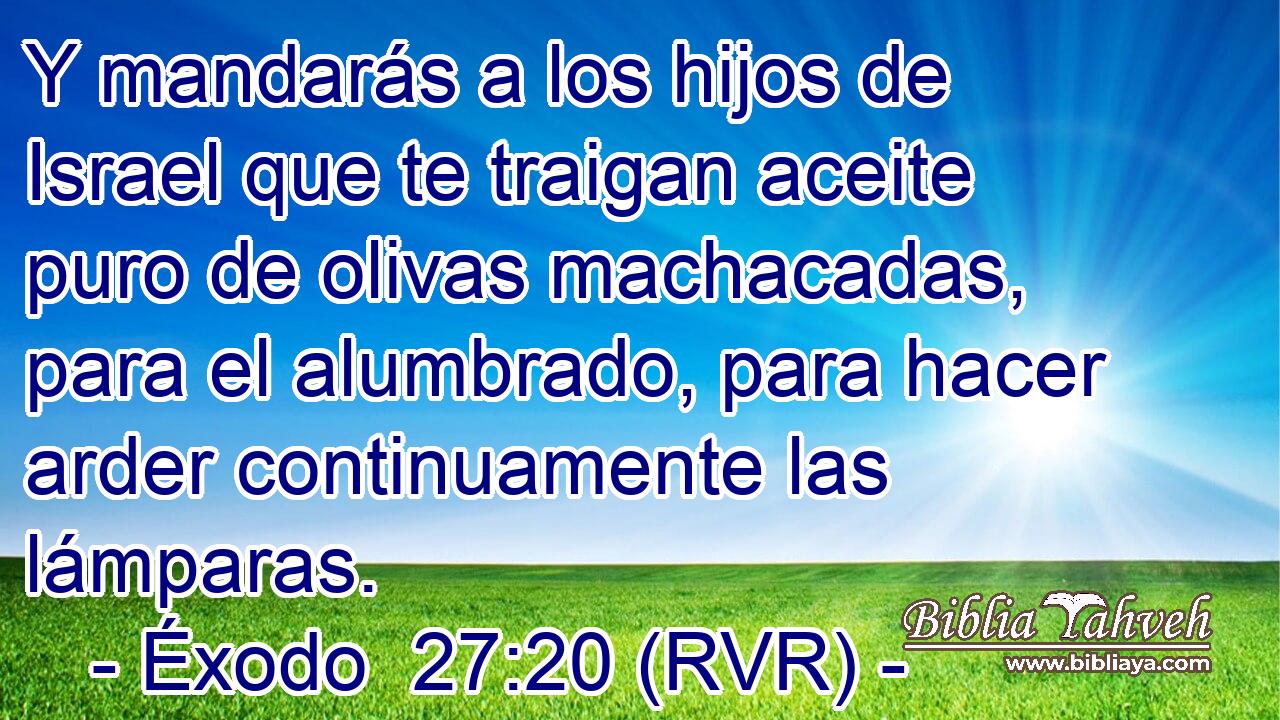 Y mandarás a los hijos de Israel que te traigan aceite puro de olivas machacadas, para el alumbrado, para hacer arder continuamente las lámparas.