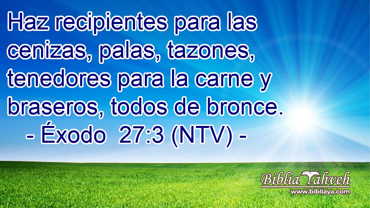 Haz recipientes para las cenizas, palas, tazones, tenedores para la carne y braseros, todos de bronce.