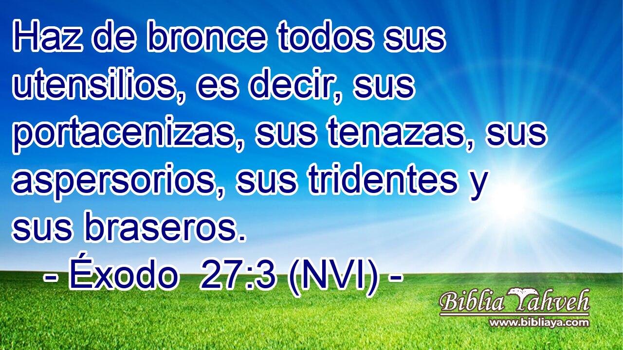  Haz de bronce todos sus utensilios, es decir, sus portacenizas, sus tenazas, sus aspersorios, sus tridentes y sus braseros. 