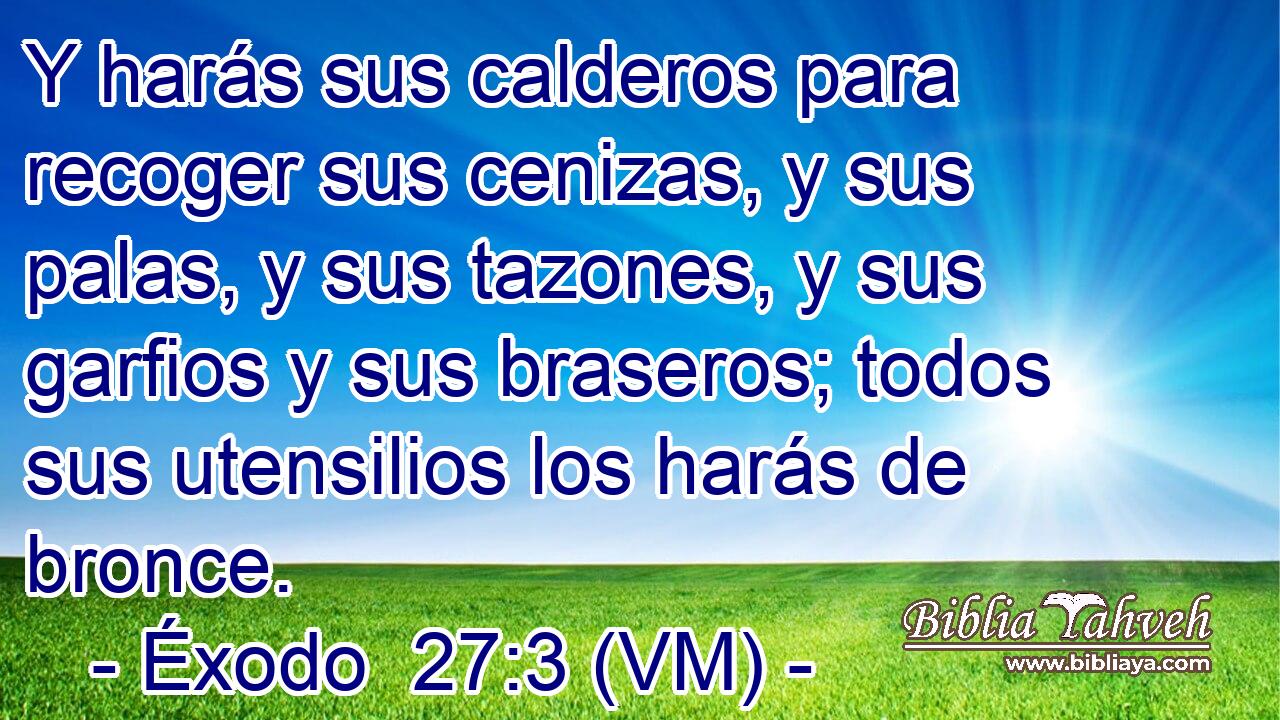  Y harás sus calderos para recoger sus cenizas, y sus palas, y sus tazones, y sus garfios y sus braseros; todos sus utensilios los harás de bronce. 