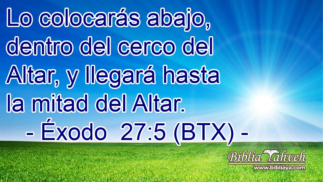 Lo colocarás abajo, dentro del cerco del Altar, y llegará hasta la mitad del Altar.