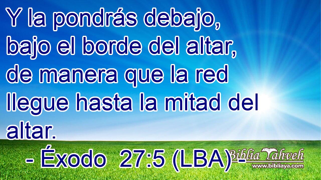 Y la pondrás debajo, bajo el borde del altar, de manera que la red llegue hasta la mitad del altar.