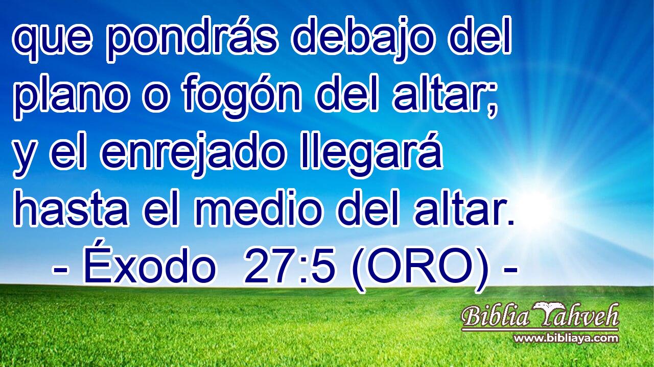  que pondrás debajo del plano o fogón del altar; y el enrejado llegará hasta el medio del altar. 