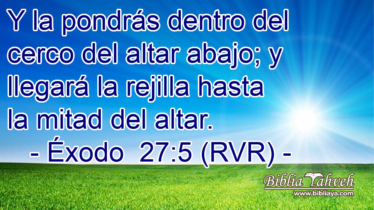 Y la pondrás dentro del cerco del altar abajo; y llegará la rejilla hasta la mitad del altar.