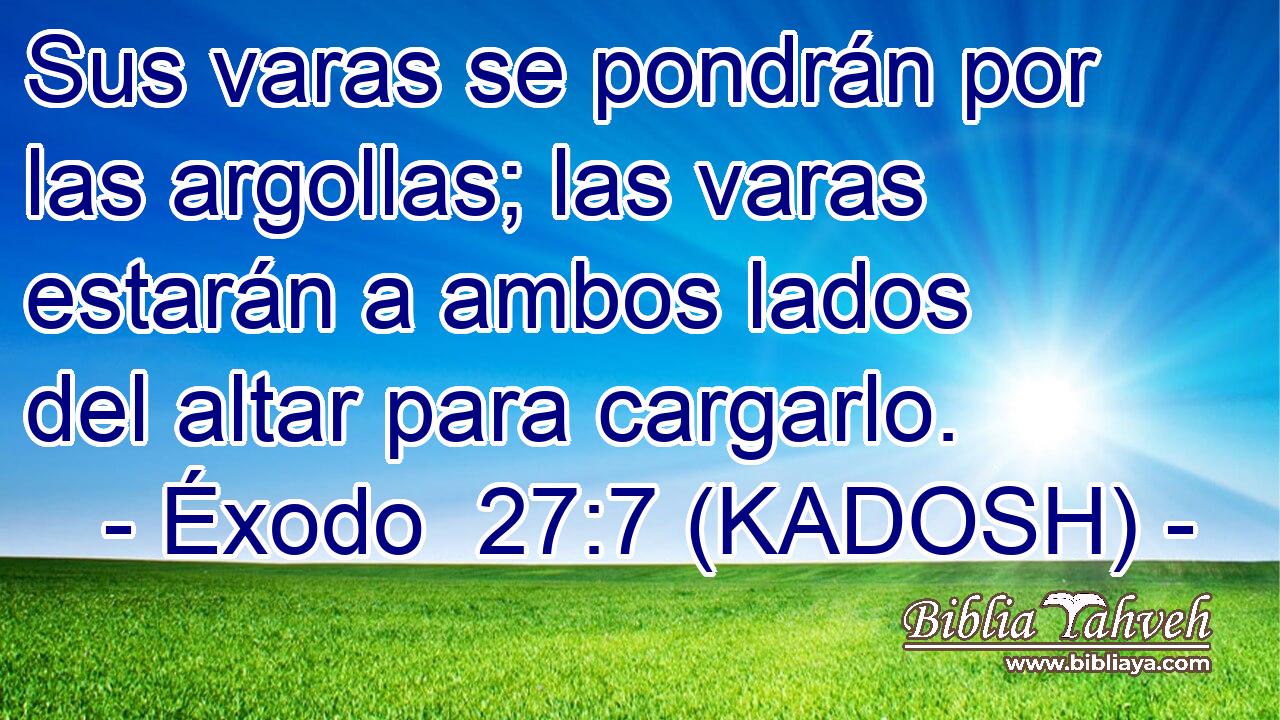  Sus varas se pondrán por las argollas; las varas estarán a ambos lados del altar para cargarlo. 