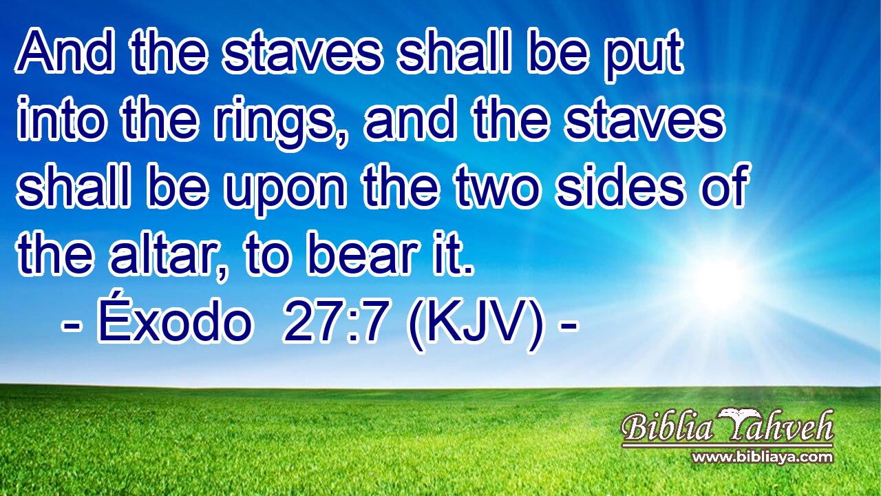 And the staves shall be put into the rings, and the staves shall be upon the two sides of the altar, to bear it.