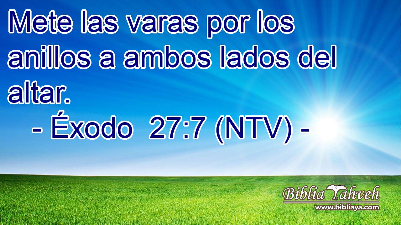 Mete las varas por los anillos a ambos lados del altar.
