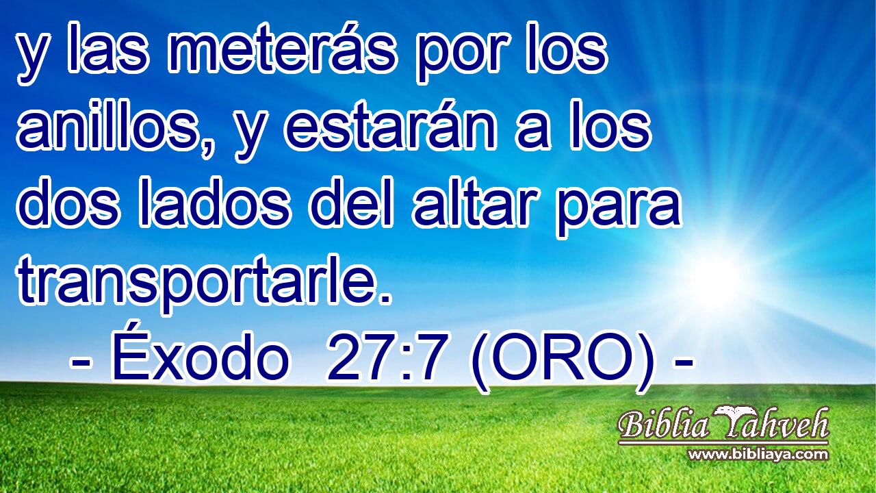  y las meterás por los anillos, y estarán a los dos lados del altar para transportarle. 