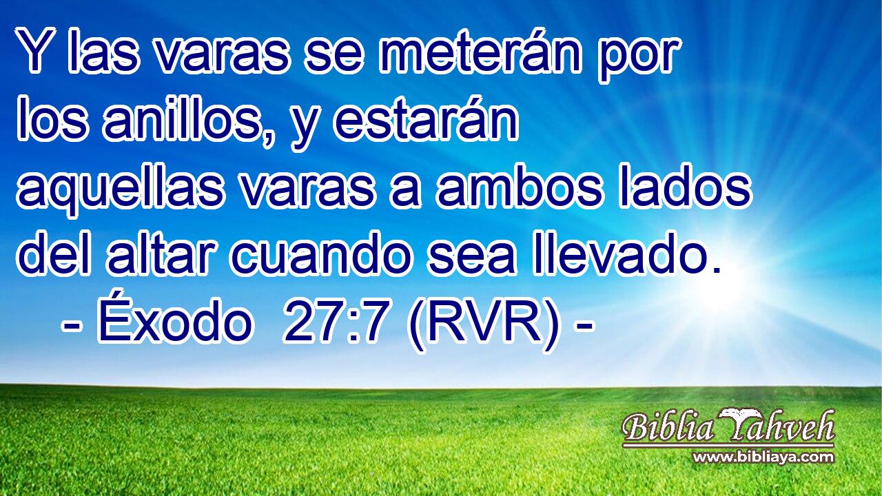 Y las varas se meterán por los anillos, y estarán aquellas varas a ambos lados del altar cuando sea llevado.