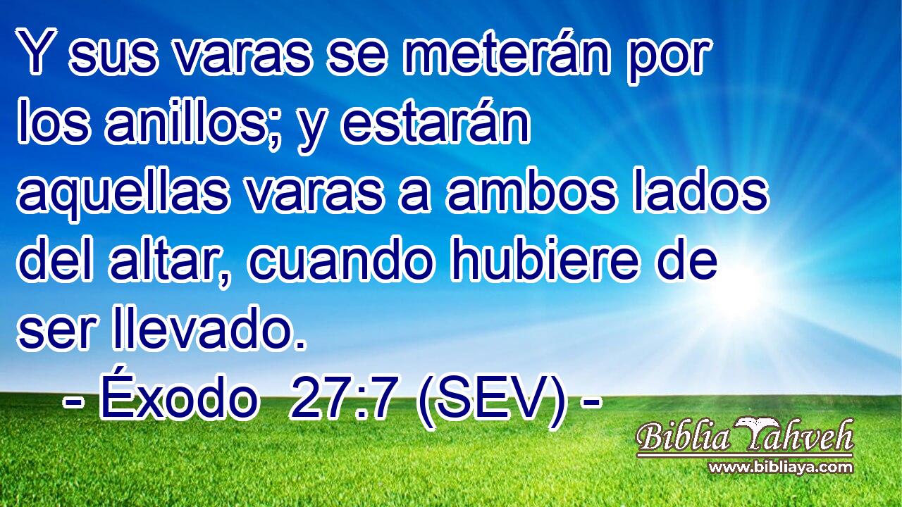 Y sus varas se meterán por los anillos; y estarán aquellas varas a ambos lados del altar, cuando hubiere de ser llevado.