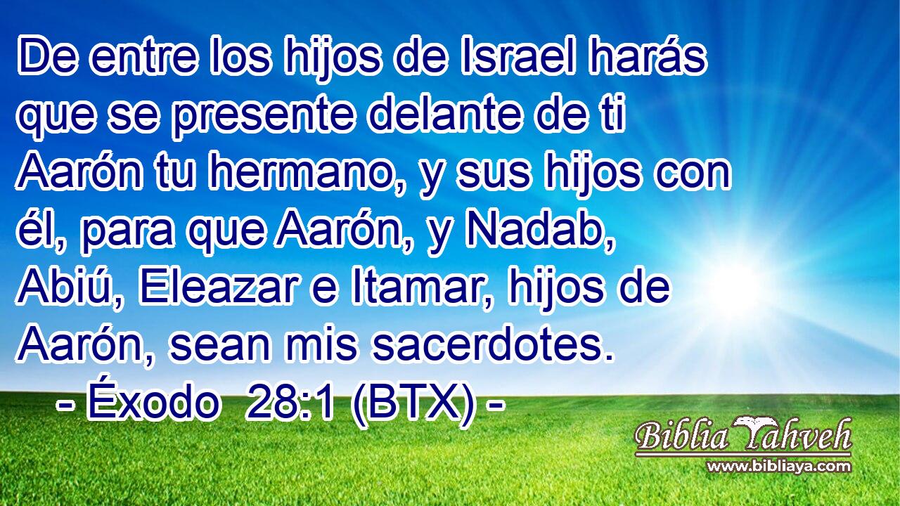 De entre los hijos de Israel harás que se presente delante de ti Aarón tu hermano, y sus hijos con él, para que Aarón, y Nadab, Abiú, Eleazar e Itamar, hijos de Aarón, sean mis sacerdotes.