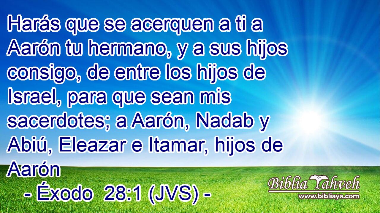 Harás que se acerquen a ti a Aarón tu hermano, y a sus hijos consigo, de entre los hijos de Israel, para que sean mis sacerdotes; a Aarón, Nadab y Abiú, Eleazar e Itamar, hijos de Aarón
