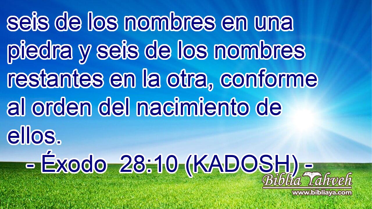  seis de los nombres en una piedra y seis de los nombres restantes en la otra, conforme al orden del nacimiento de ellos. 