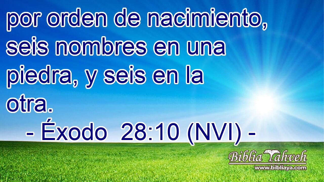  por orden de nacimiento, seis nombres en una piedra, y seis en la otra. 