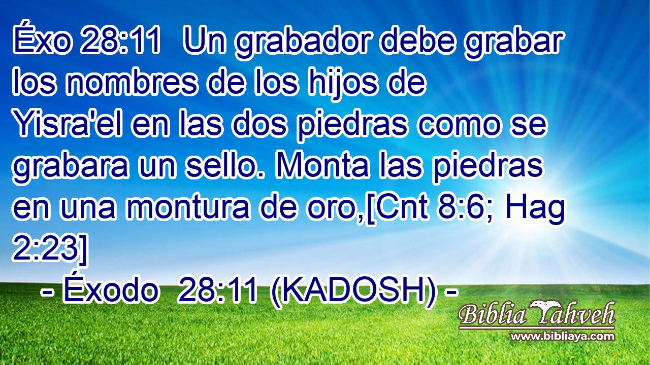  Un grabador debe grabar los nombres de los hijos de Yisra'el en las dos piedras como se grabara un sello. Monta las piedras en una montura de oro,[Cnt 8:6; Hag 2:23] 