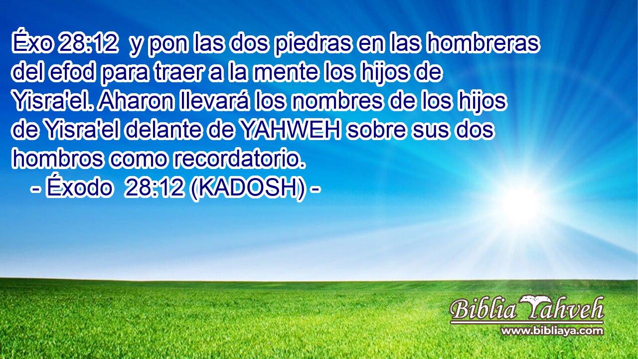  y pon las dos piedras en las hombreras del efod para traer a la mente los hijos de Yisra'el. Aharon llevará los nombres de los hijos de Yisra'el delante de YAHWEH sobre sus dos hombros como recordatorio. 