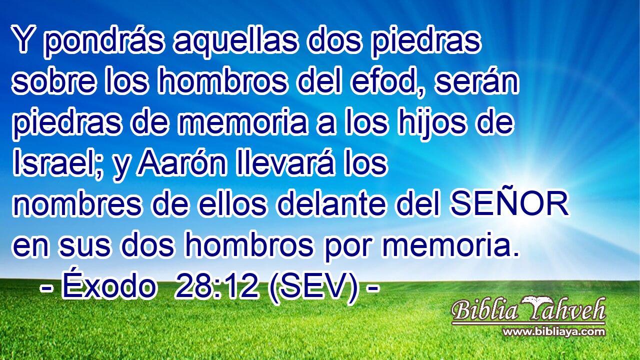 Y pondrás aquellas dos piedras sobre los hombros del efod, serán piedras de memoria a los hijos de Israel; y Aarón llevará los nombres de ellos delante del SEÑOR en sus dos hombros por memoria.