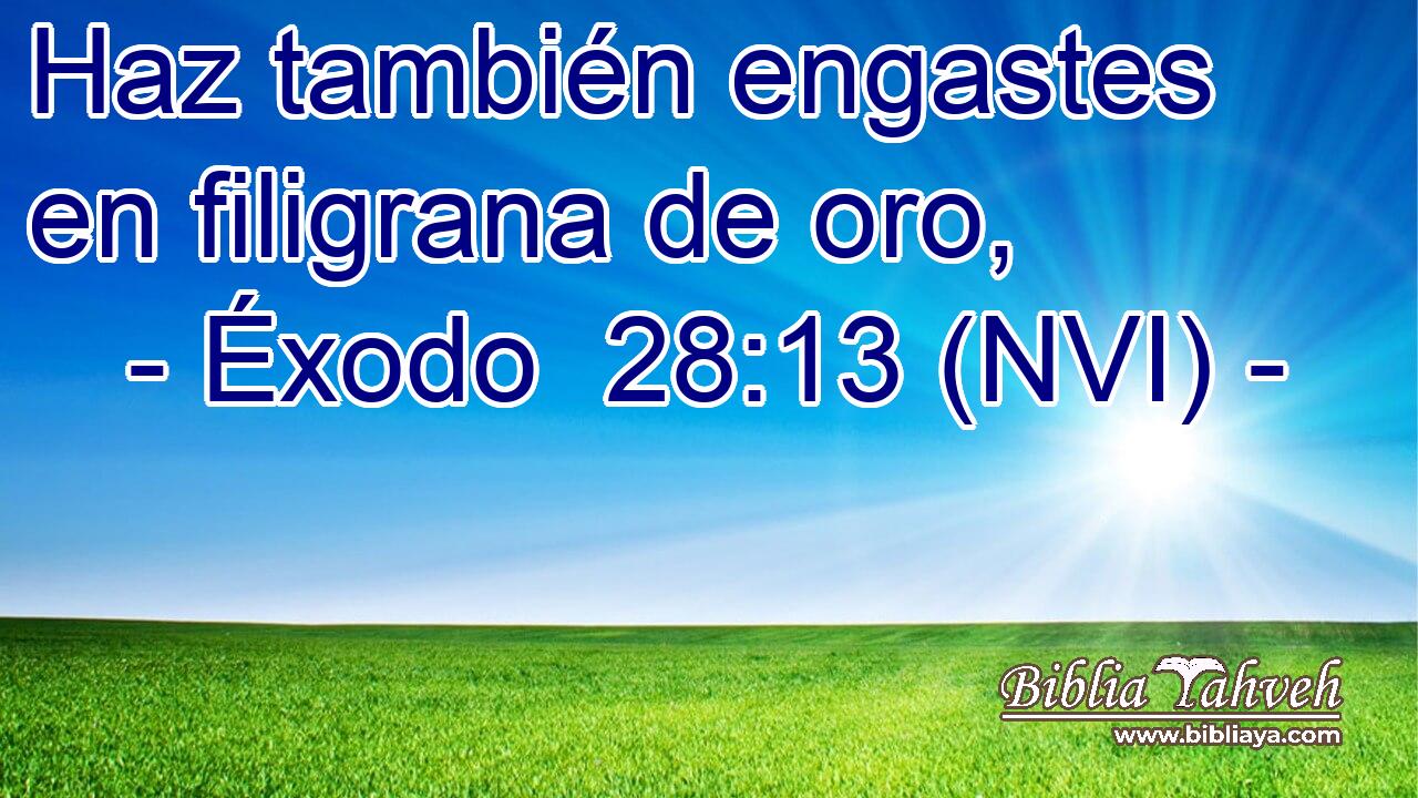  Haz también engastes en filigrana de oro, 