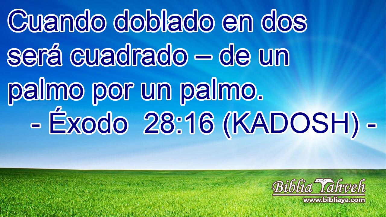  Cuando doblado en dos será cuadrado – de un palmo por un palmo. 