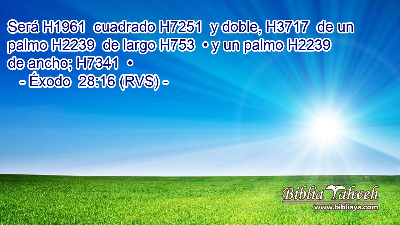 Será H1961  cuadrado H7251  y doble, H3717  de un palmo H2239  de largo H753  • y un palmo H2239  de ancho; H7341  • 