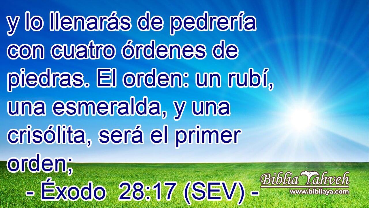 y lo llenarás de pedrería con cuatro órdenes de piedras. El orden: un rubí, una esmeralda, y una crisólita, será el primer orden;