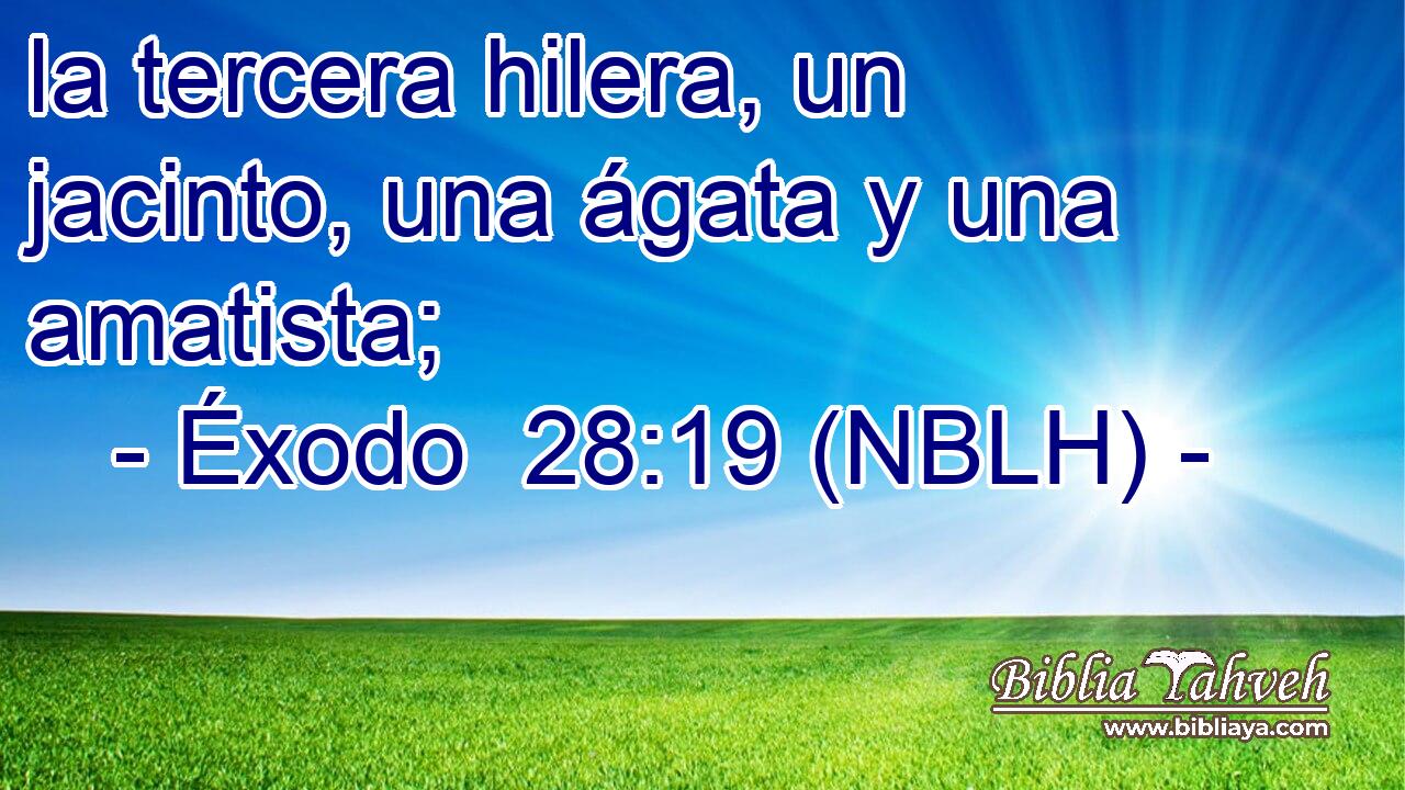  la tercera hilera, un jacinto, una ágata y una amatista; 