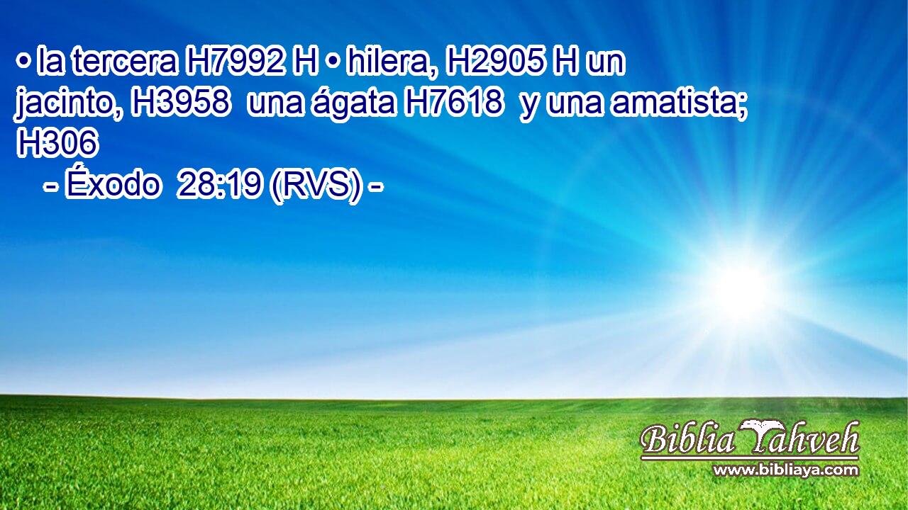 • la tercera H7992 H • hilera, H2905 H un jacinto, H3958  una ágata H7618  y una amatista; H306  