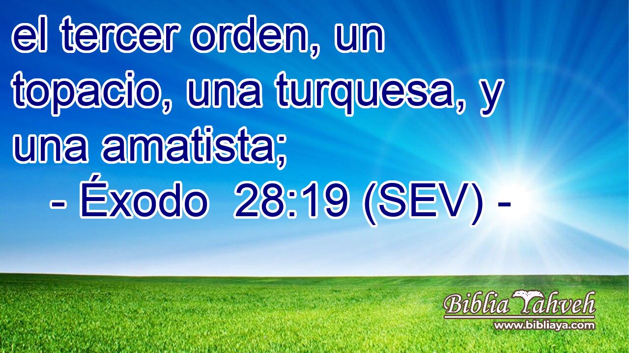 el tercer orden, un topacio, una turquesa, y una amatista;