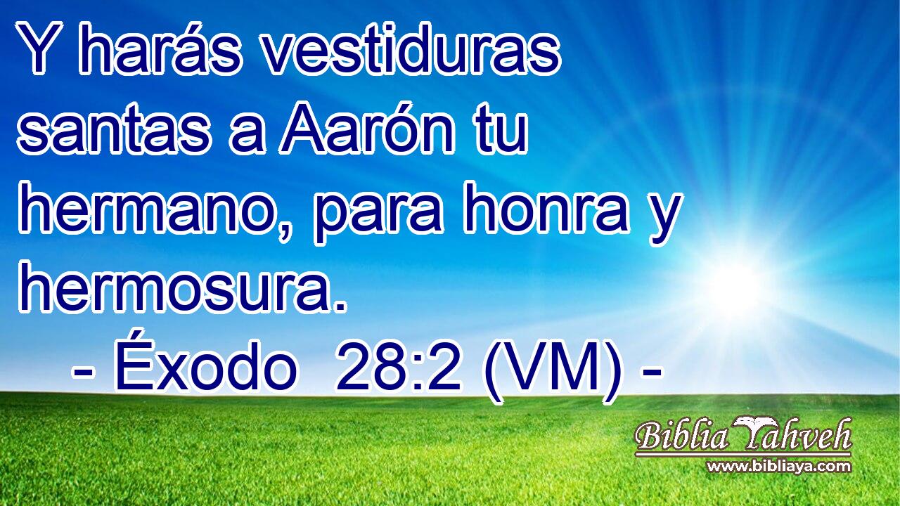  Y harás vestiduras santas a Aarón tu hermano, para honra y hermosura. 
