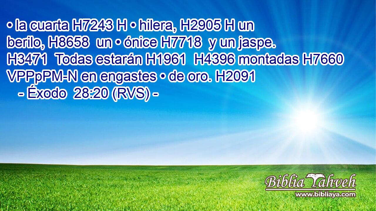 • la cuarta H7243 H • hilera, H2905 H un berilo, H8658  un • ónice H7718  y un jaspe. H3471  Todas estarán H1961  H4396 montadas H7660 VPPpPM-N en engastes • de oro. H2091  