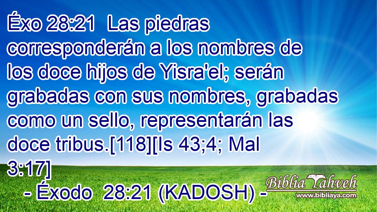  Las piedras corresponderán a los nombres de los doce hijos de Yisra'el; serán grabadas con sus nombres, grabadas como un sello, representarán las doce tribus.[118][Is 43;4; Mal 3:17] 