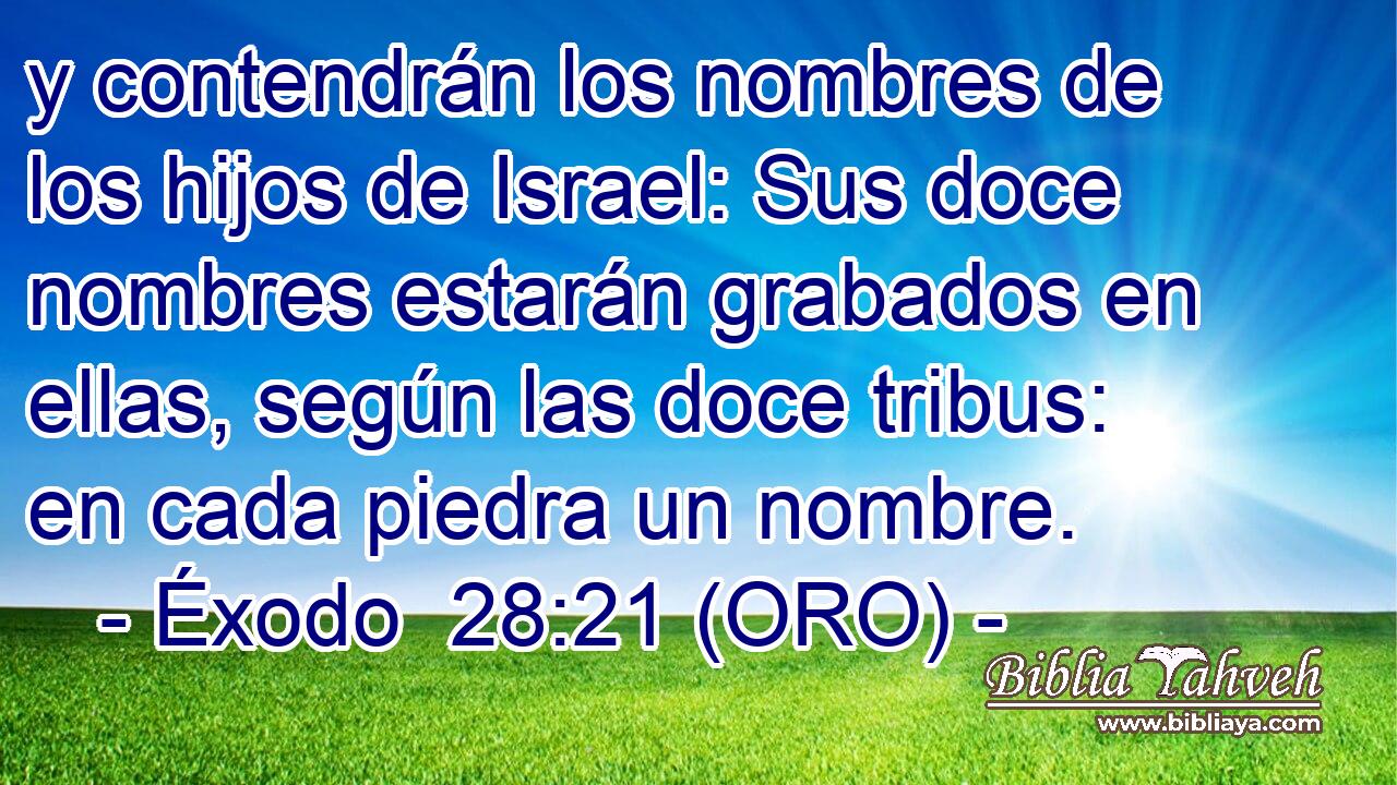  y contendrán los nombres de los hijos de Israel: Sus doce nombres estarán grabados en ellas, según las doce tribus: en cada piedra un nombre. 