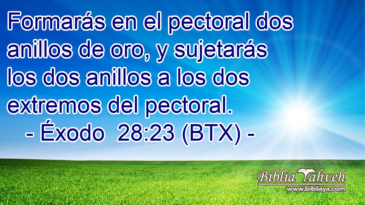 Formarás en el pectoral dos anillos de oro, y sujetarás los dos anillos a los dos extremos del pectoral.