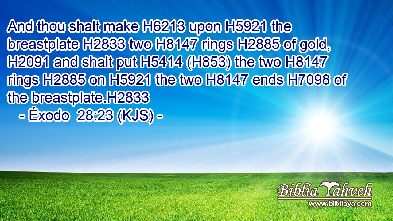 And thou shalt make H6213 upon H5921 the breastplate H2833 two H8147 rings H2885 of gold, H2091 and shalt put H5414 (H853) the two H8147 rings H2885 on H5921 the two H8147 ends H7098 of the breastplate.H2833